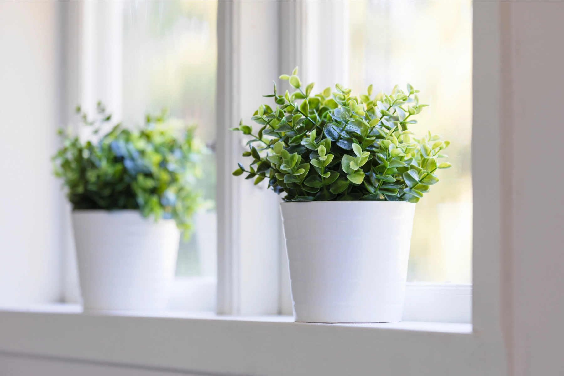 accreditations - Pittis