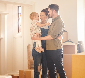 Guides - complete guide - Pittis